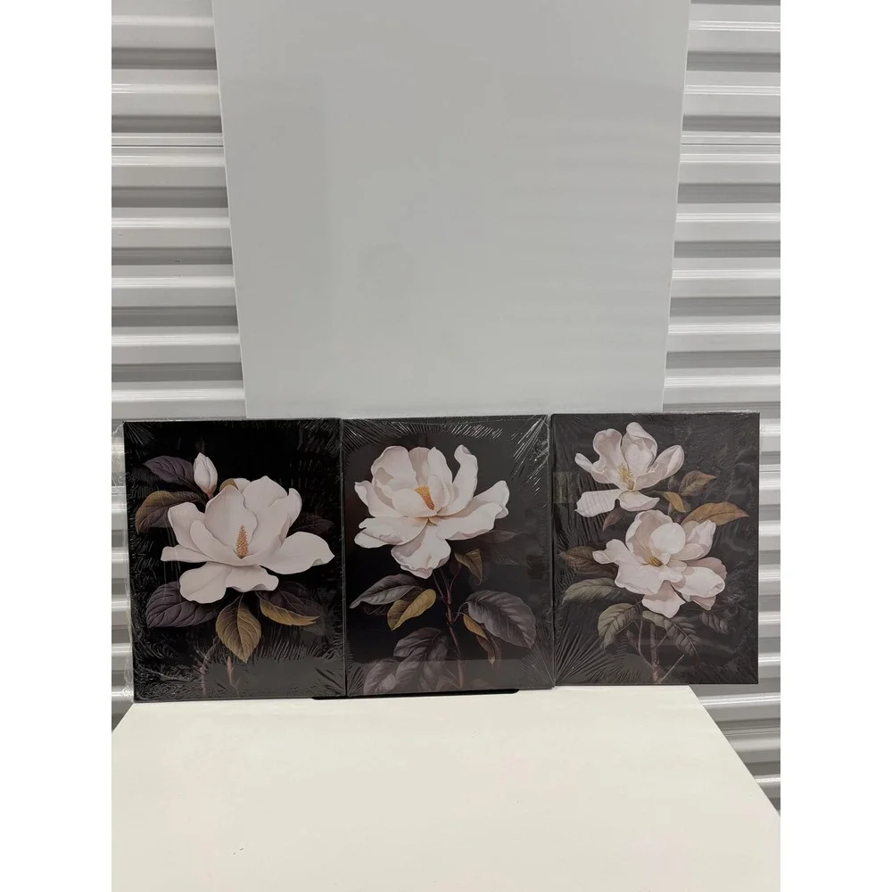 3 Piece Magnolia Floral Canvas Wall Art Set White Flowers Black Background 12x16
